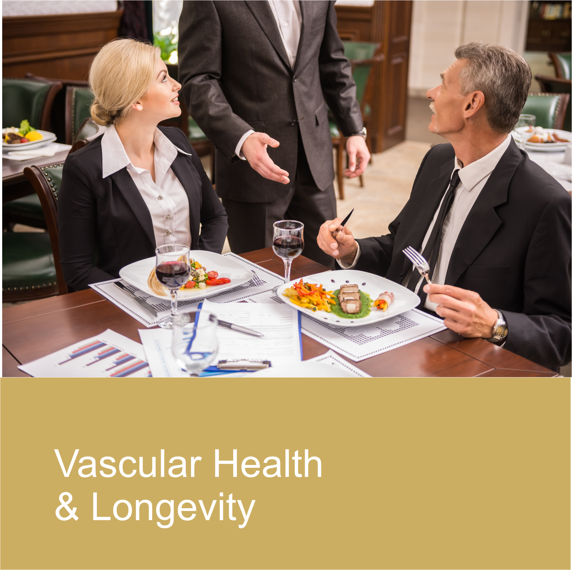 3Vascular 3Vascular